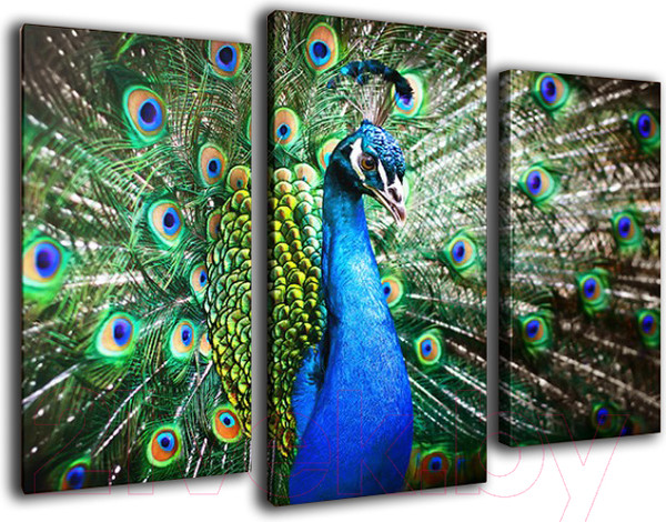 Изображение товара Картина модульная Arthata m-000146 (75x50)