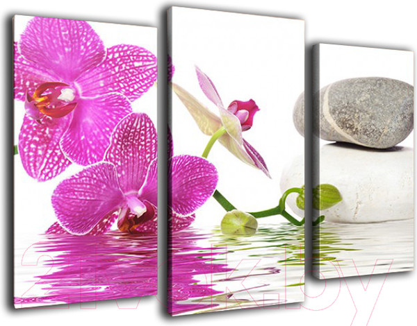 Изображение товара Картина модульная Arthata m-000148 (90x60)