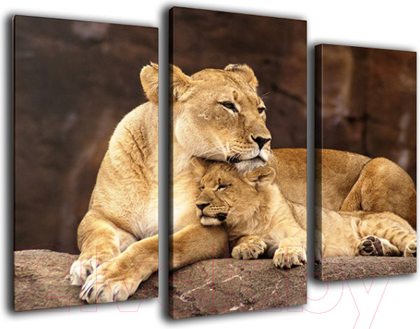 Изображение товара Картина модульная Arthata m-000147 (75x50)