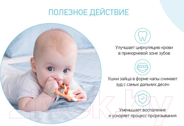 Изображение товара Прорезыватель для зубов Roxy-Kids Bunny / RBT-001BD (шоколадный)