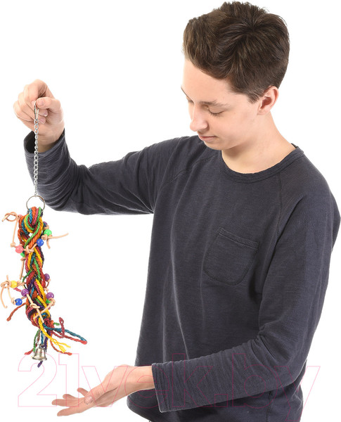 Изображение товара Игрушка для птиц Happy Bird Косичка / H78060