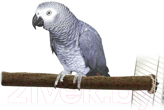 Изображение товара Жердочка для птиц Happy Bird H71203