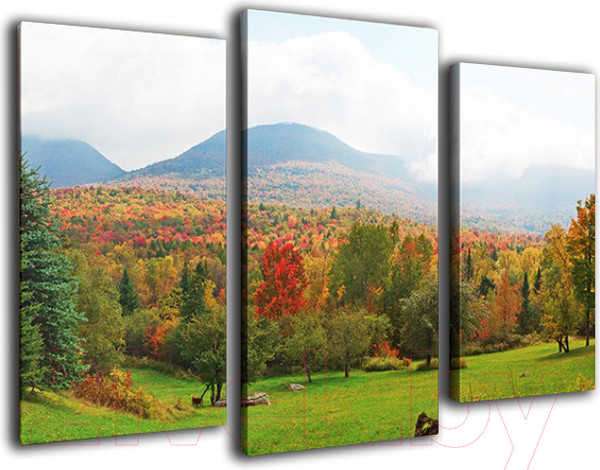 Изображение товара Картина модульная Arthata m-000158 (90x60)