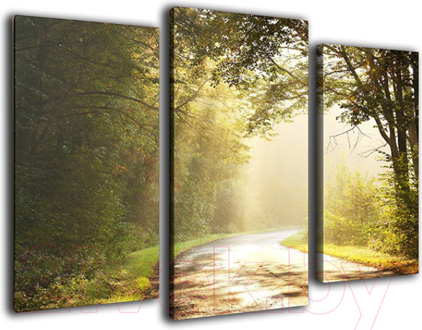 Изображение товара Картина модульная Arthata m-000159 (75x50)