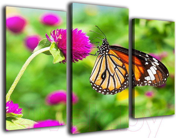 Изображение товара Картина модульная Arthata m-000160 (75x50)