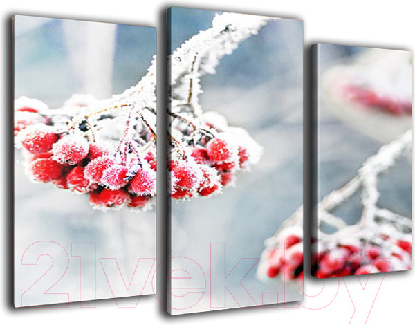 Изображение товара Картина модульная Arthata m-000162 (120x80)