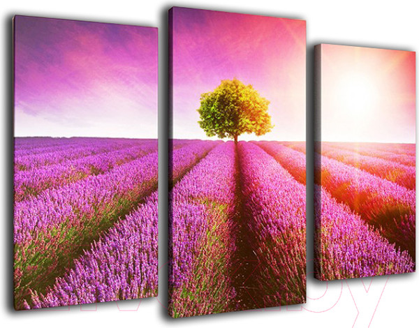 Изображение товара Картина модульная Arthata m-000165 (90x60)