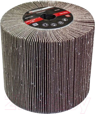 Изображение товара Шлифовальный круг Forsage F-FD4120W