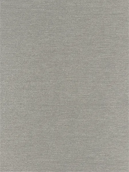 Изображение товара Рулонная штора Lm Decor Шайн LM 42-02 64x215 (серый)