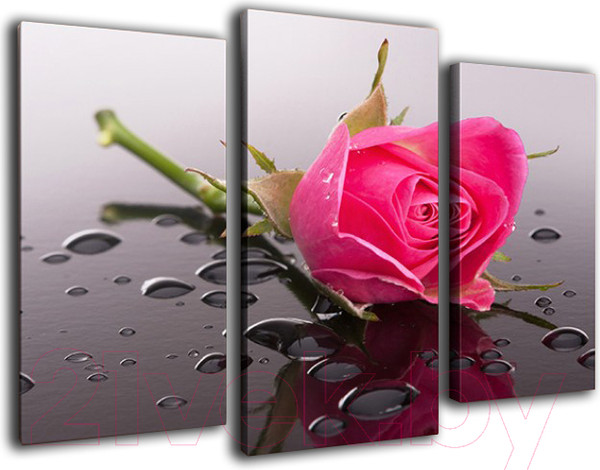 Изображение товара Картина модульная Arthata m-000194 (75x50)