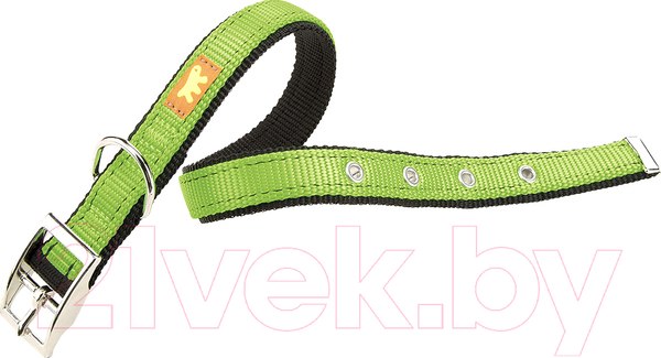 Изображение товара Ошейник Ferplast Dual Colours CF25/45 (зеленый)