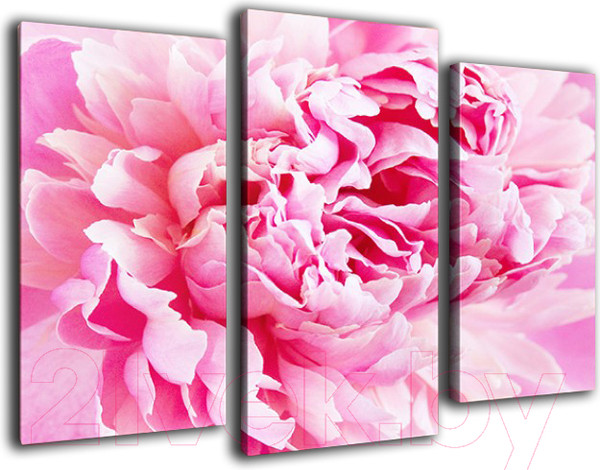 Изображение товара Картина модульная Arthata m-000200 (90x60)