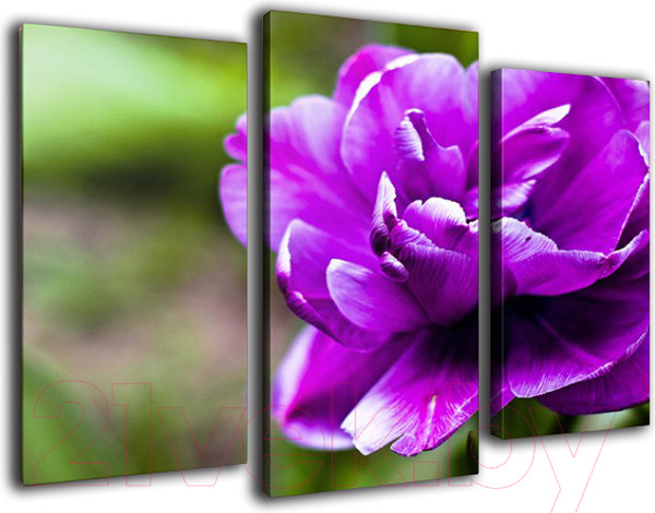 Изображение товара Картина модульная Arthata m-000201 (75x50)