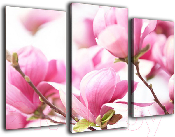 Изображение товара Картина модульная Arthata m-000203 (75x50)