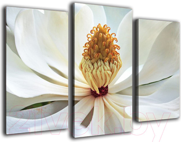 Изображение товара Картина модульная Arthata m-000204 (90x60)