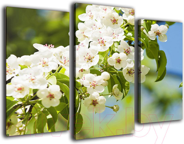 Изображение товара Картина модульная Arthata m-000205 (90x60)