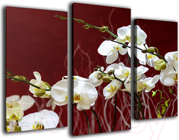 Изображение товара Картина модульная Arthata m-000208 (75x50)