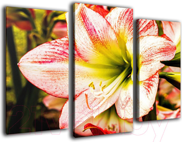 Изображение товара Картина модульная Arthata m-000210 (75x50)