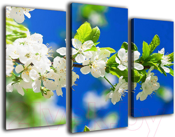 Изображение товара Картина модульная Arthata m-000216 (75x50)
