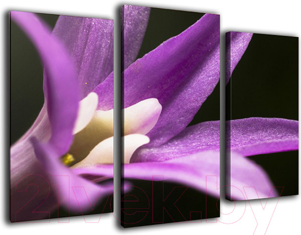 Изображение товара Картина модульная Arthata m-000217 (90x60)