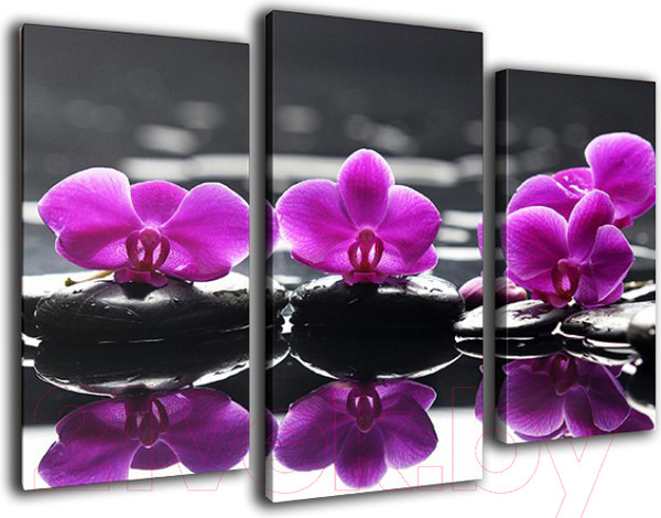 Изображение товара Картина модульная Arthata m-000218 (75x50)