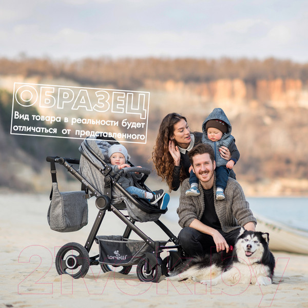Изображение товара Детская универсальная коляска Lorelli Alexa 3 в 1 Opaline Grey Elephants / 10021292185