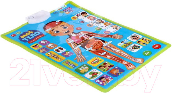 Изображение товара Развивающий плакат Zabiaka Изучаем анатомию: мое тело / 5148294