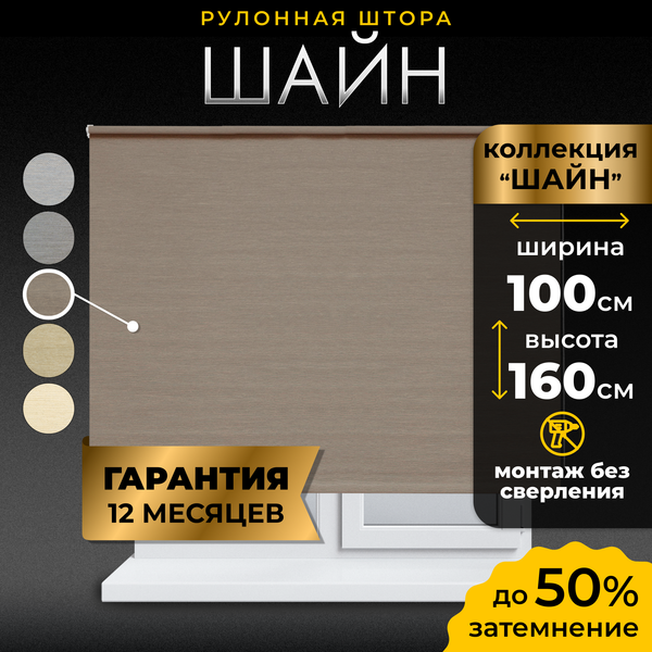 Изображение товара Рулонная штора Lm Decor Шайн LM 42-04 100x160 (бежевый/серый)