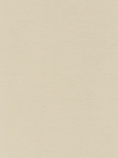 Изображение товара Рулонная штора Lm Decor Шайн LM 42-07 85x160 (молочный)