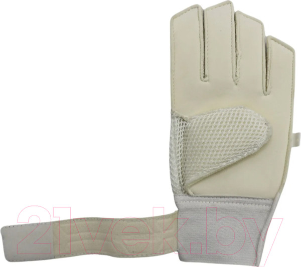 Изображение товара Перчатки вратарские Ingame Freestyle IF-702 (р.6, черный/голубой)