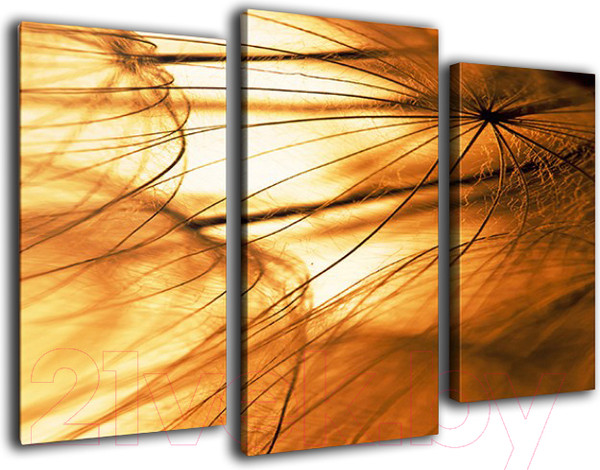 Изображение товара Картина модульная Arthata m-000221 (90x60)