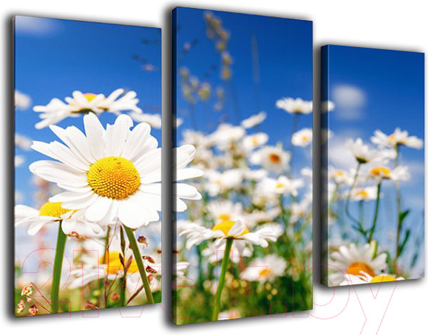 Изображение товара Картина модульная Arthata m-000224 (75x50)