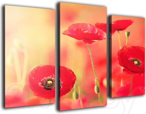 Изображение товара Картина модульная Arthata m-000239 (90x60)