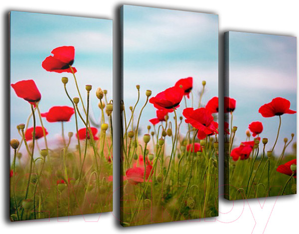 Изображение товара Картина модульная Arthata m-000240 (90x60)