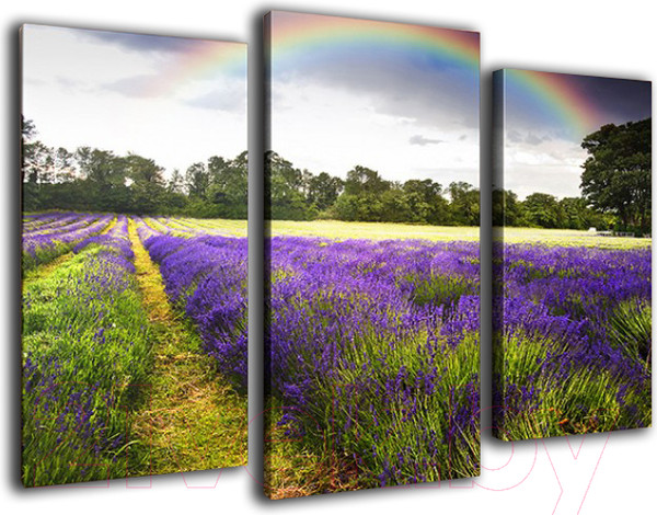 Изображение товара Картина модульная Arthata m-000241 (90x60)