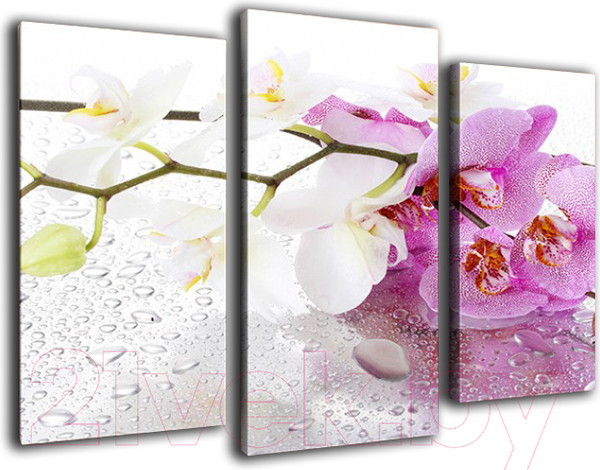 Изображение товара Картина модульная Arthata m-000242 (90x60)