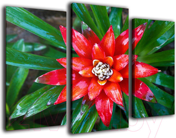 Изображение товара Картина модульная Arthata m-000243 (120x80)