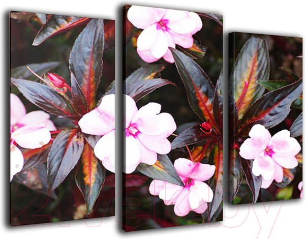 Изображение товара Картина модульная Arthata m-000245 (75x50)