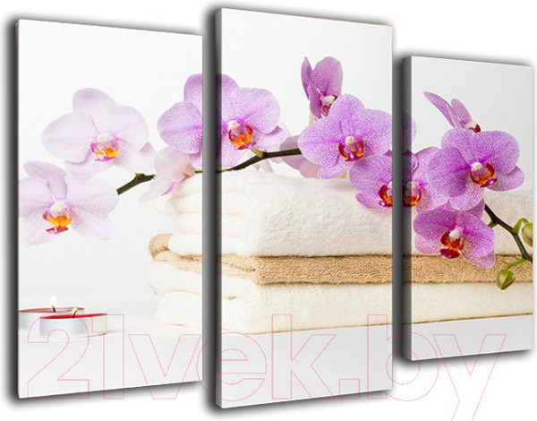 Изображение товара Картина модульная Arthata m-000225 (90x60)