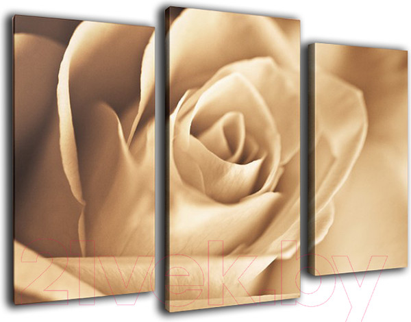 Изображение товара Картина модульная Arthata m-000226 (90x60)