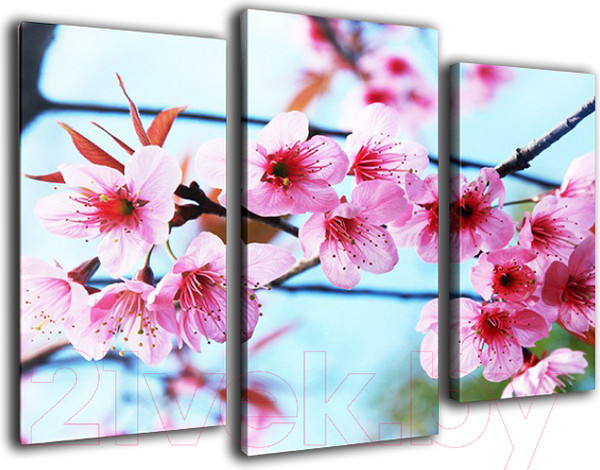 Изображение товара Картина модульная Arthata m-000238 (90x60)