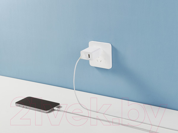 Изображение товара Зарядное устройство сетевое Xiaomi Mi 33W Wall Charger Type-A+Type-C EU / BHR4996GL