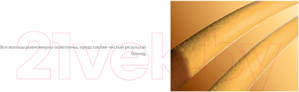 Изображение товара Порошок для осветления волос Londa Professional Blondoran Dust-Free Light Powder  (2x500г)