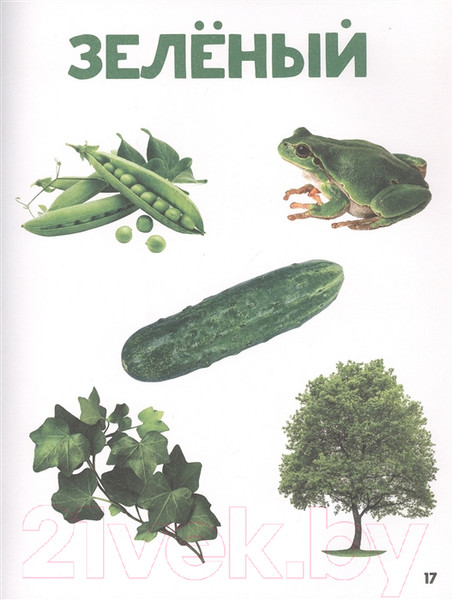 Изображение товара Развивающая книга Проф-Пресс Главная книга малыша