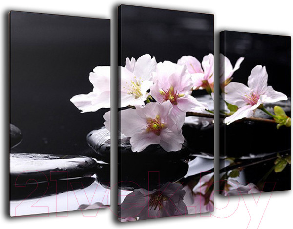 Изображение товара Картина модульная Arthata m-000252 (75x50)