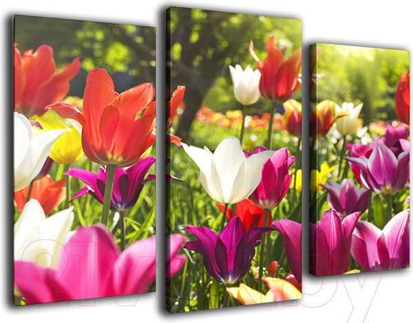 Изображение товара Картина модульная Arthata m-000256 (90x60)