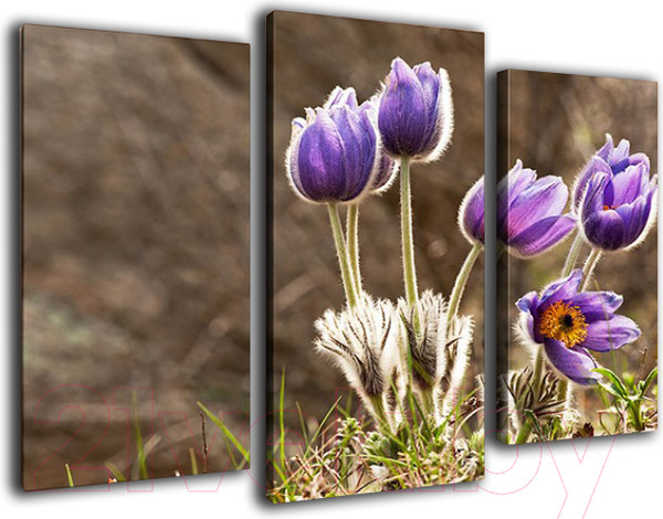 Изображение товара Картина модульная Arthata m-000257 (75x50)