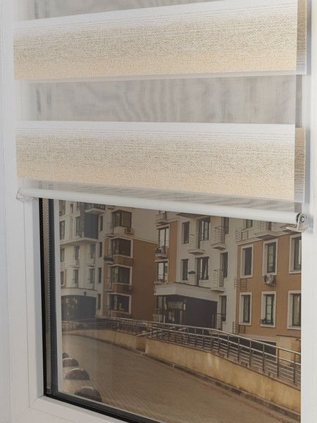 Изображение товара Рулонная штора Lm Decor Дабл ДН LB 55-01 48x160 (белый/бежевый)