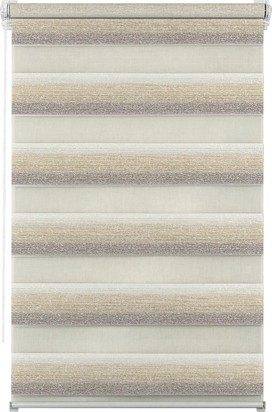 Изображение товара Рулонная штора Lm Decor Дабл ДН LB 55-02 38x160 (бежевый/серый)