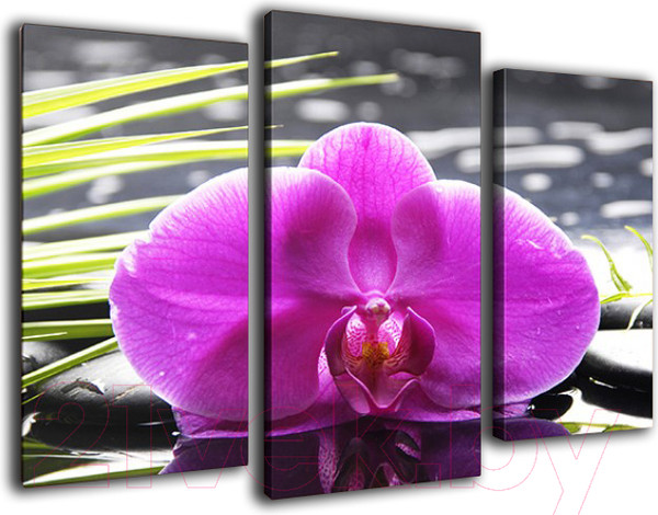 Изображение товара Картина модульная Arthata m-000259 (90x60)